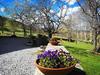 Agroturismo Finca Artienza