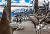 Seehotel Waldstaetterhof Swiss Quality