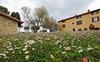 Apartamento Agriturismo Villa Mozart