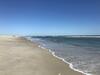 Apartamento Harbour Island 302k