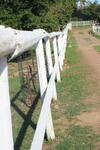 Bed & Breakfast Swelln2 Farm Lodge
