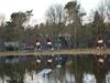 Unique Holiday Home In Stramproy Near Forest
