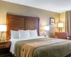Hotel Comfort Inn & Suites Ventura Beach