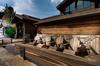 Best Western Plus Truckee-tahoe Hotel