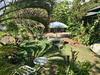 Hakuna Matata Maui Hostel