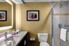 Hotel Doubletree By Hilton Arlington Dfw South