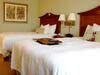 Hotel Hampton Inn & Suites College Station