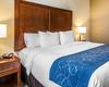 Hotel Comfort Suites Fredericksburg South