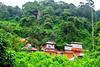 Hotel Bellavista Resort Munnar