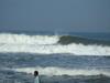 Gumnut Beach House Homestay