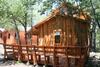 Caba�as Tronco Mayen