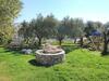 Holiday Park Pietra Ligure 7281