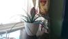 Bed & Breakfast Lochinver Guesthouse