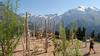 Albergue Berglodge Ristis