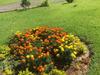 Hostal Pousada Flores Do Campo