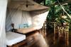 Posada La Loma Jungle Lodge And Chocolate Farm