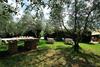 Agroturismo Podere Lesignano