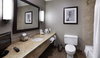 Hotel Crowne Plaza Boston Natick
