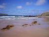 Hostal Yelki By The Sea B&B