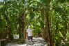 Hotel Villa Park Sun Island Resort