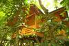 Hotel Bamboo Creek Resort