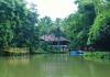 Hotel Bamboo Creek Resort