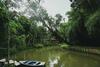 Hotel Bamboo Creek Resort