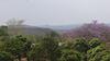 Agroturismo Numbi Hills Farm